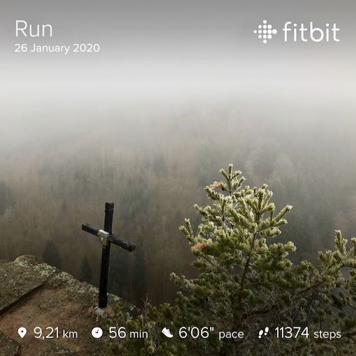 Vstup z aplikace Fitbit