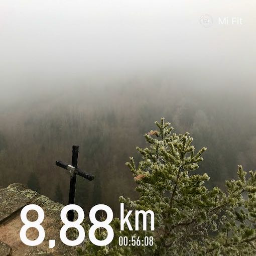 Vstup z aplikace MiFit