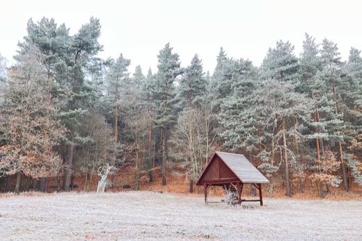 Bilancov�n� 2025