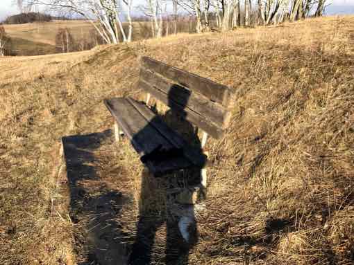 Lavika pro unaven bce