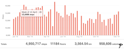 Statistika za rok 2019