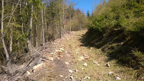 Stoupání na Kouli (Kozí vrchy)