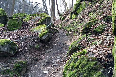 V�b�h na Robi�