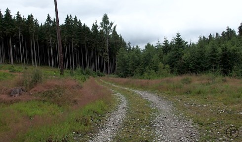 Z letního výšlapu