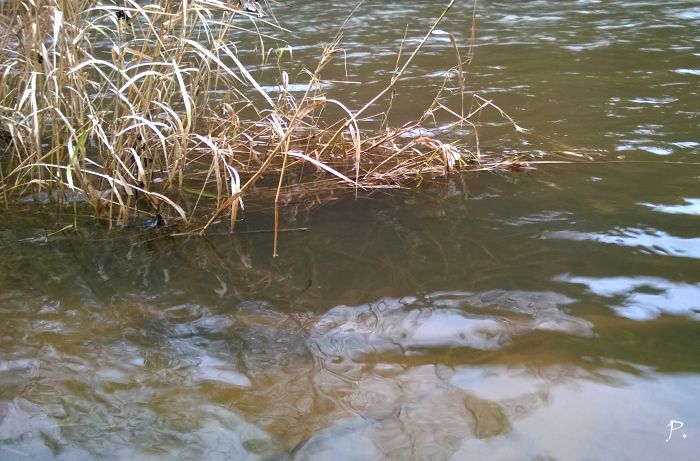 Lumia 920 a dlouh as expozice