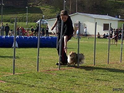 Agility v Lokti (2007)