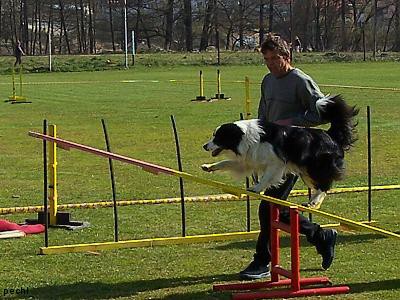 Agility v Lokti (2007)