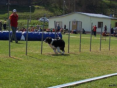 Agility v Lokti (2007)