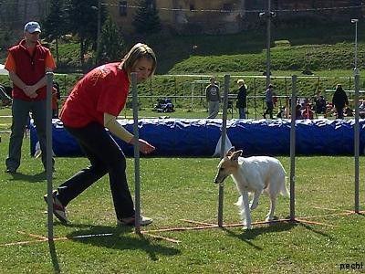 Agility v Lokti (2007)