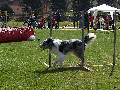 Agility v Lokti (2007)