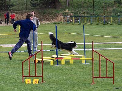 Agility v Lokti (2007)