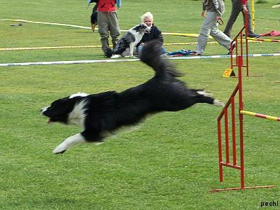 Agility v Lokti (2007)