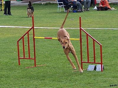 Agility v Lokti (2007)