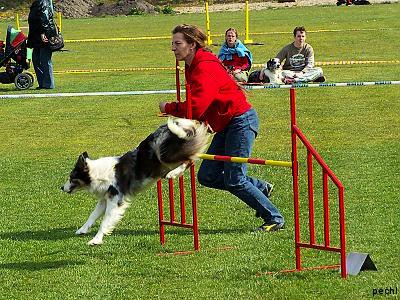 Agility v Lokti (2007)
