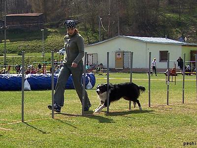 Agility v Lokti (2007)