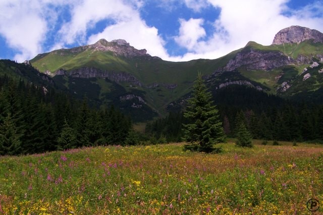 Belianské Tatry