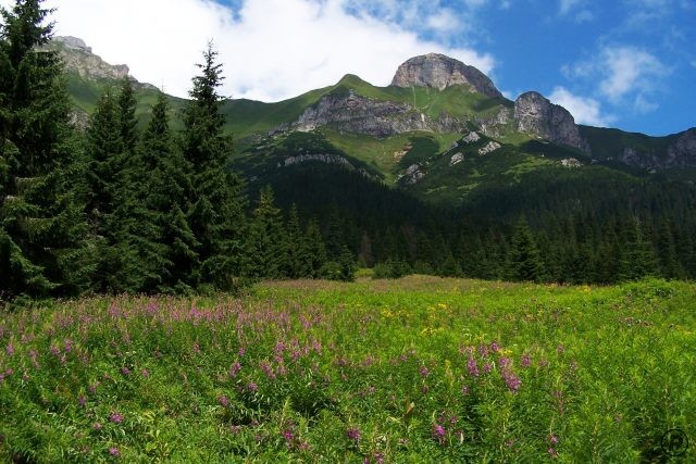 Belianské Tatry