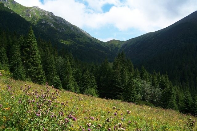 Belianské Tatry