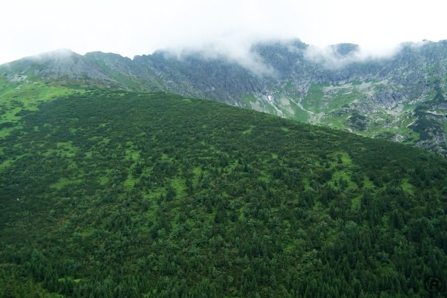 Belianské Tatry