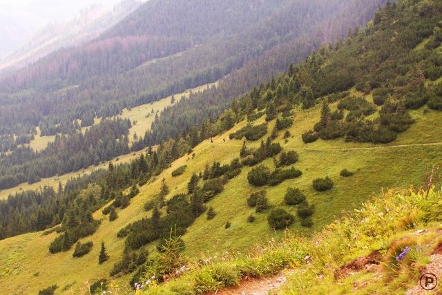 Belianské Tatry