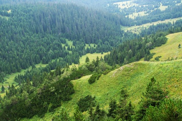 Belianské Tatry