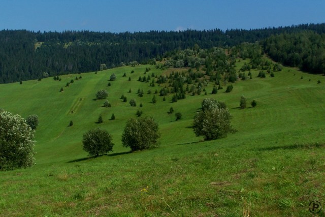 Belianské Tatry