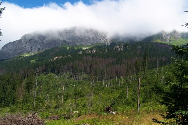 Belianské Tatry