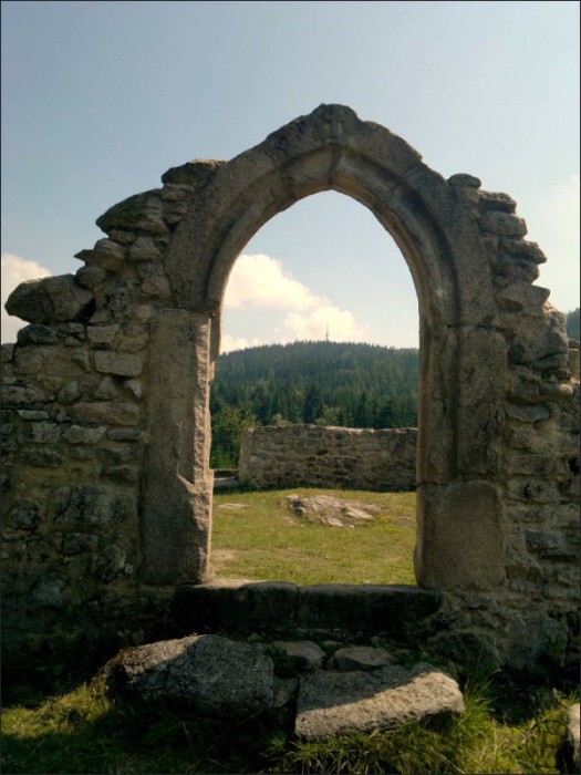 Nokia N8 forest walking