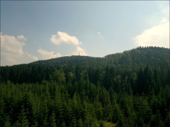 Nokia N8 forest walking