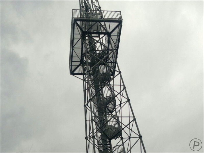 Nokia N8 forest walking