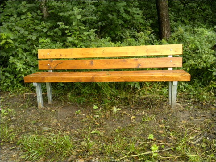 Nokia N8 forest walking