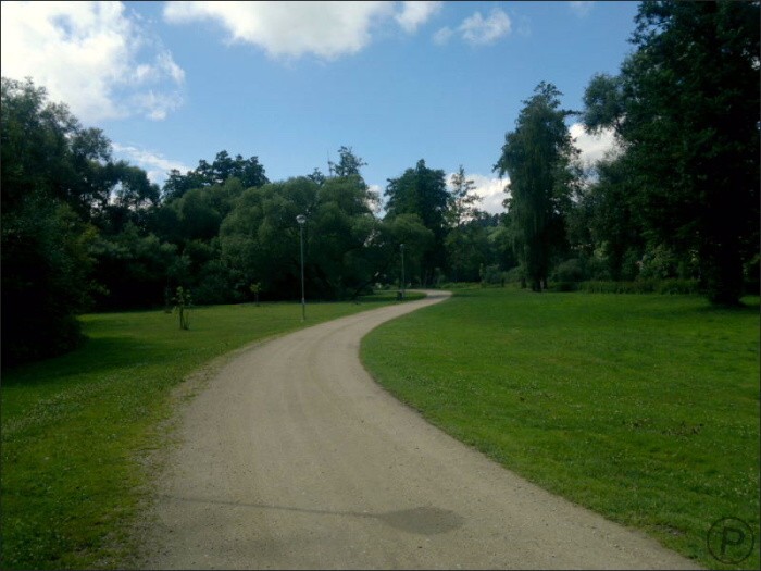 Nokia N8 forest walking