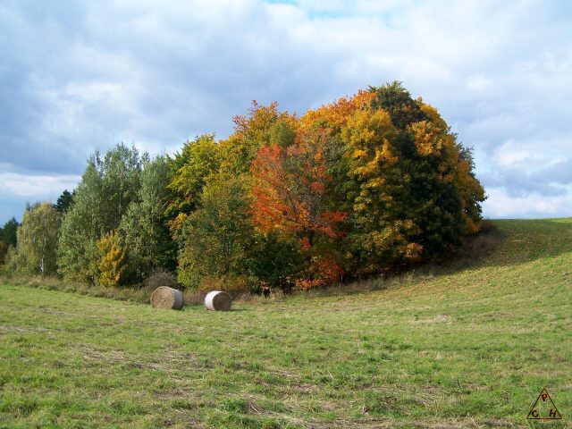 Okolí Lokte v několika obrazech