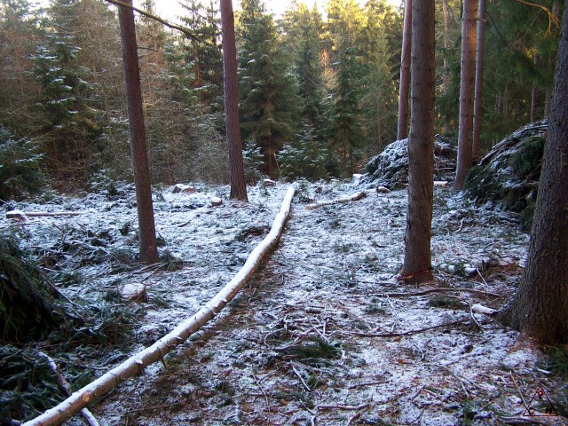 Okolí Lokte v několika obrazech