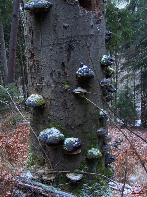 Okolí Lokte v několika obrazech