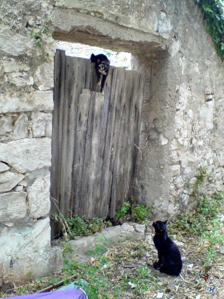 Nové drobnosti z Pelješacu (2008)