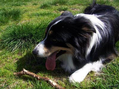 Rick (Best Of Best Aibara)