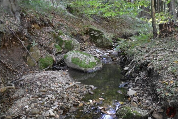 Proměny Supího potoka