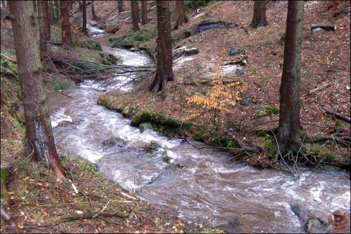 Proměny Supího potoka