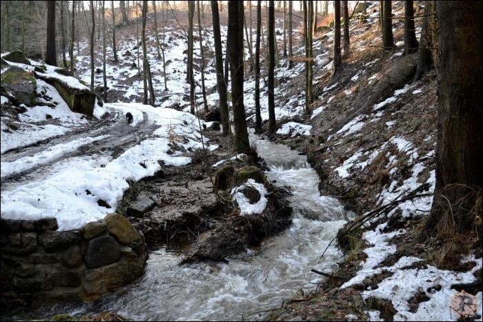 Proměny Supího potoka