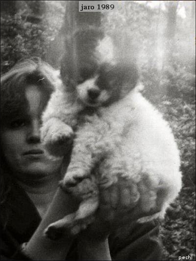 Timův příběh (Tim´s story)