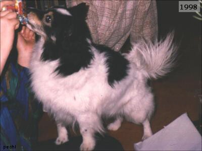 Timův příběh (Tim´s story)