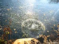 The river